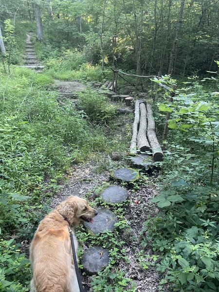 Creek crossing.