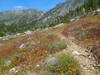 Meadow along Tototngna Trail.