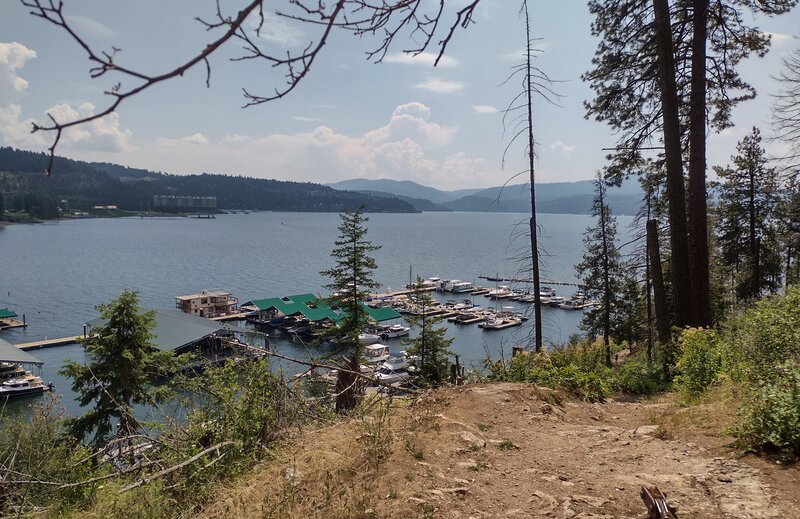 Looking down from high on Tubbs Hill, the marina is below with beautiful Lake Coeur d'Alene stretching into the distance.