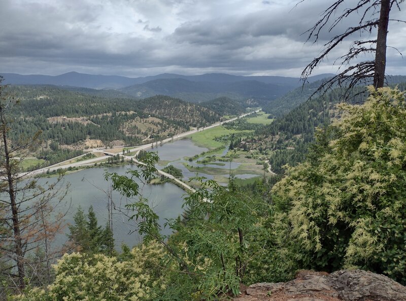 Wolf Lodge Bay is fed by the Coeur d'Alene River in its valley (center below), as seen from a great trail overlook nestled in the flowering ocean spray bushes.