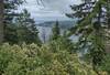 Hiking through the blooming ocean spray bushes, Wolf Lodge Bay (nearby below) and Lake Coeur d'Alene (in the distance) are seen from Lost Man Trail.