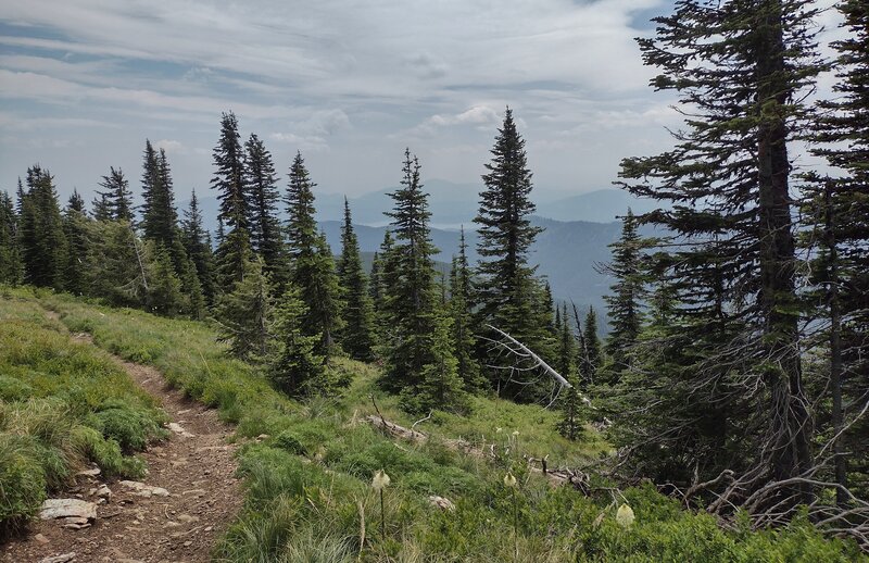 The views open up as Watershed Crest Trail climbs into meadows. Here we see Lake Pend Oreille in the distance to the southeast.