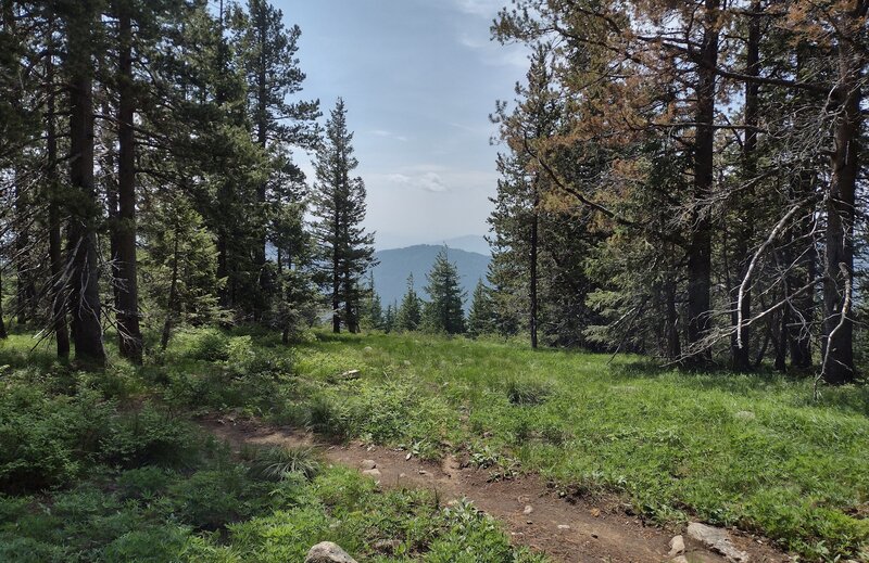 A short, pretty trail through the pines and grass leads to a great viewpoint.