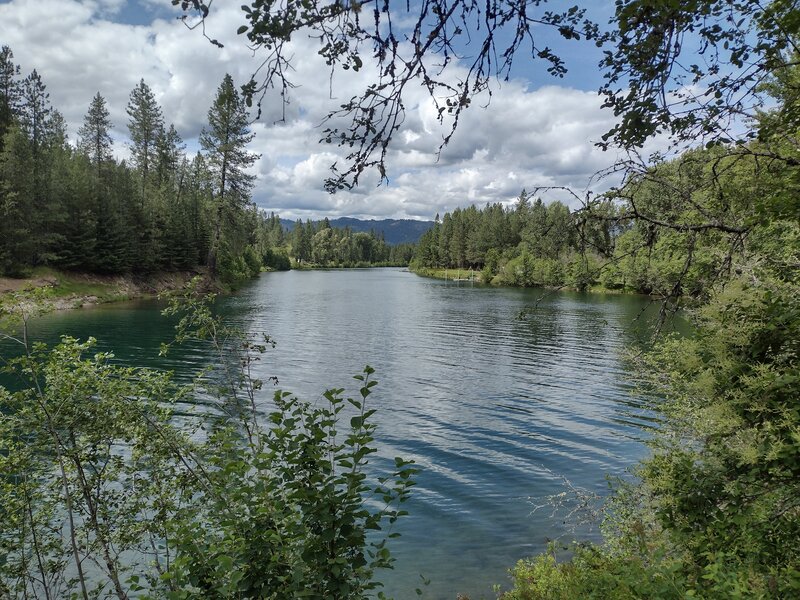 Coeur d'Alene River. Looking upstream from River Bend wayside, mile 38.5 on Trail of the Coeur d'Alenes.