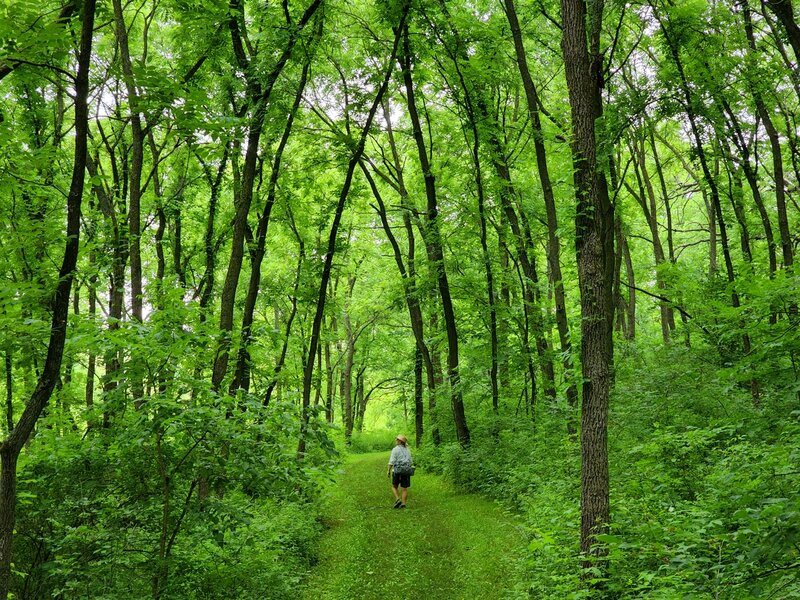 Under the canopy at the south end of the park.