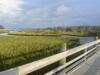 Scene from walking bridge overlooking water.