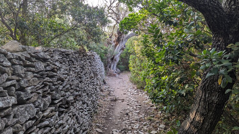 Strada Vecia - Madonetta Trail.