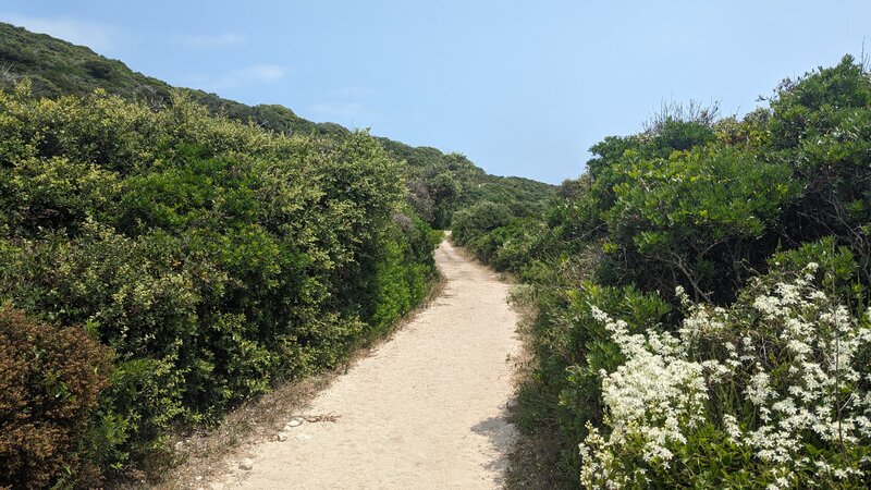 Capo Pertusato - Cala Sciumara