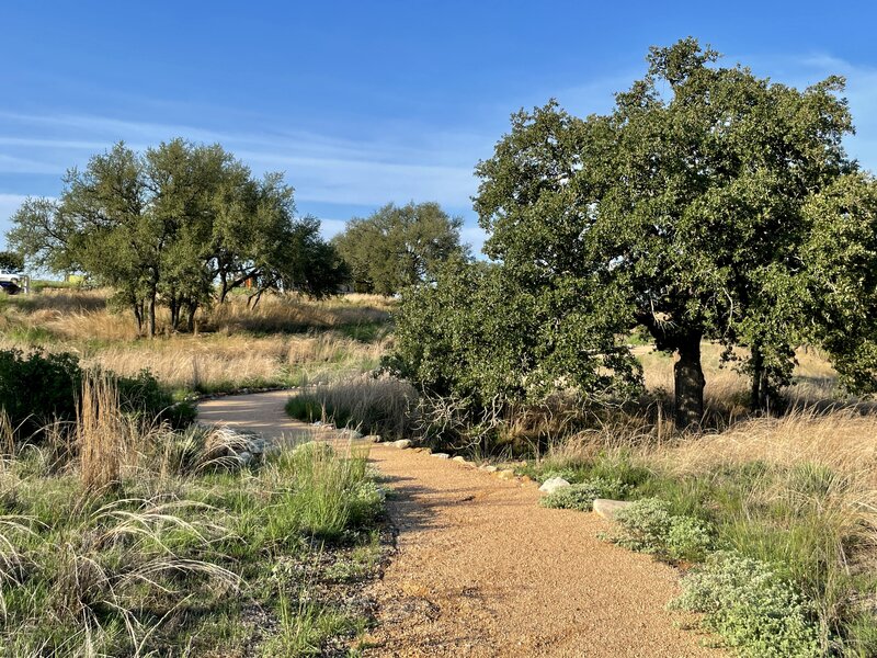 The half-mile trail of Live Oak Loop.