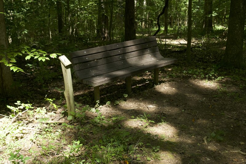 Benches can be found at a couple of points along the trail for people to rest.