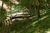 At the bottom of the hill, a bridge crosses a small creek as it nears the Cumberland River.