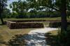 The Carver Cemetery sits right off the trail, where many members for Carver family are buried.  George Washington Carver is not buried here; he is buried at Tuskegee Institute.