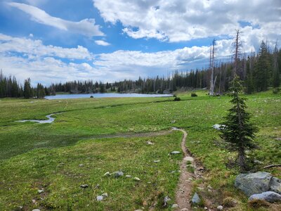 Hiking Trails near Snowy Range - 7088093 SmallMeD 1689367898