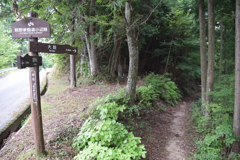 Entering the forest for the final section to Omata.