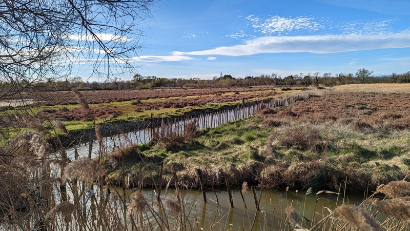 Sentier des tamaris | Tamarisk Trail