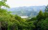 Looking down towards the great Torii Gate.