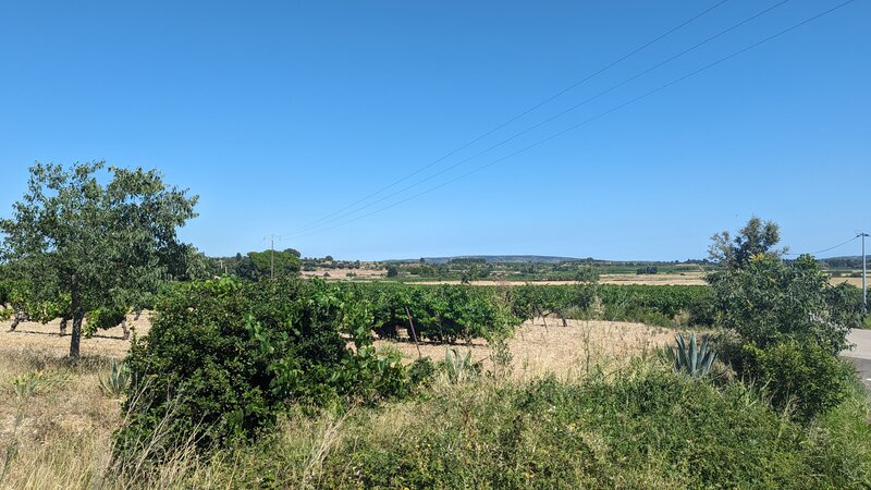 Cournonsec - Fabregues Vineyard Route start