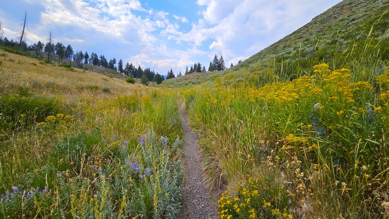 View from the trail