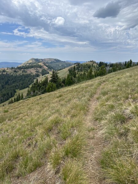 Trail along ridgeline.