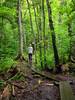 On the trail to Kawishiwi Falls.