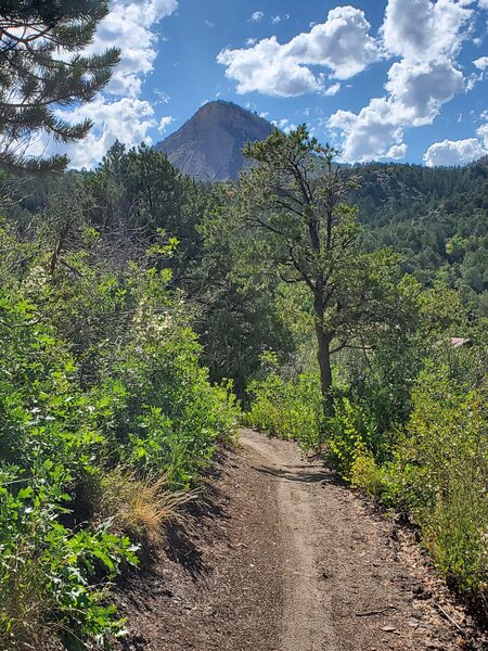 Perins Peak in the distance from Hidden Valley Trail.