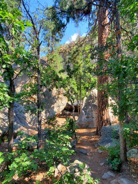 Bouldering and cliff area.