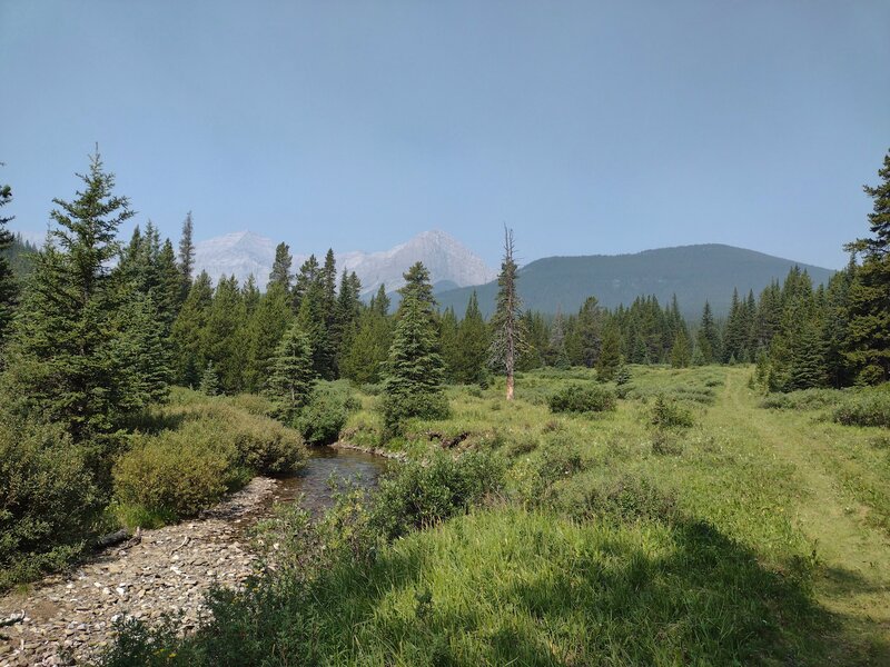 Hiking next to Hidden Creek on a perfect July morning.