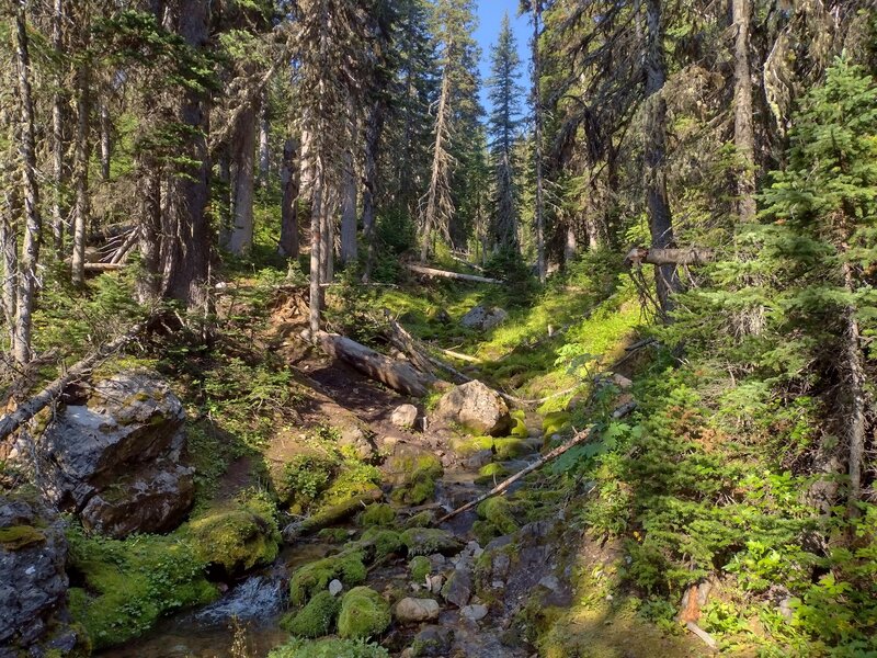 Pleasant Creek Trail, Hiking