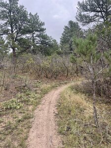 Trail
