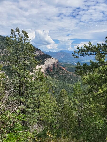 Looking north at the cliffs above Falls Creek Valley.