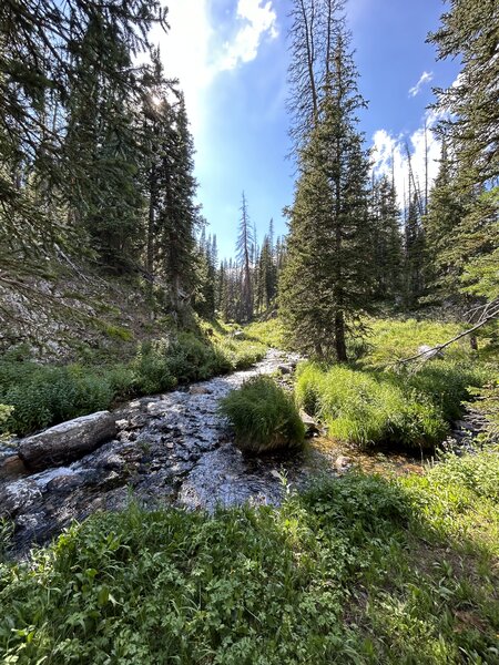 Lots of scenic and peaceful creek crossing.