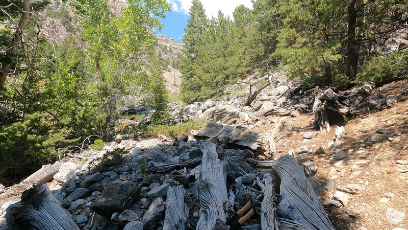 Rough going up the stream bed.