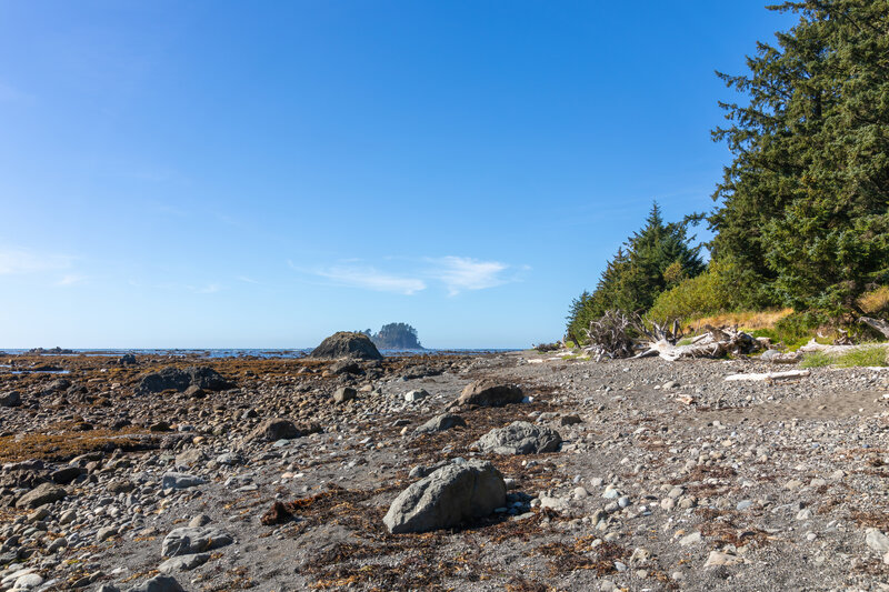 Ozette Island coming into view while waling towards Cape Alava.