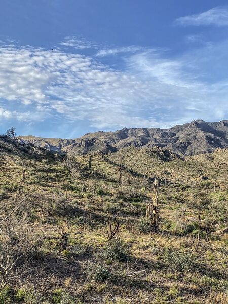 View of the superstition mountains,