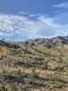 View of the superstition mountains,