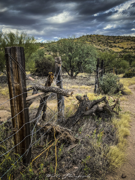 Just an old fence from a horse stable that used to be here.