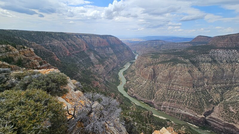 View from the trail area.