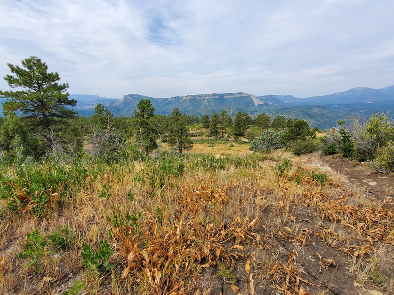 Views from near the top of Animas Mountain.