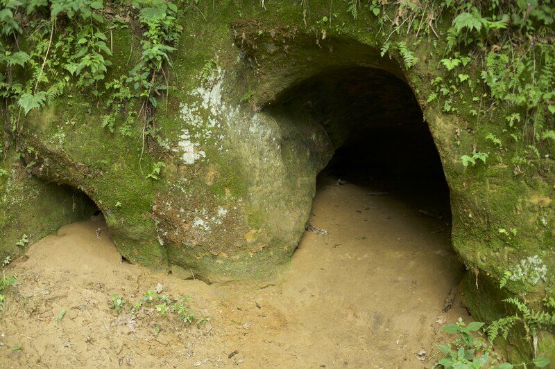 On the cave trail, there are two caves that you can explore. This is the smaller of the two caves.