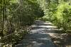 The Lakeshore trail winds through the trees which provide shade.