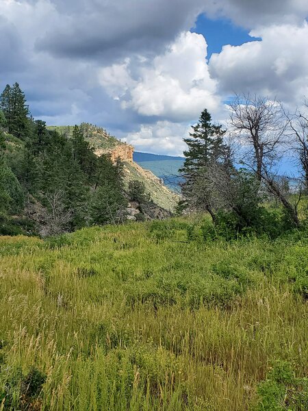Views towards the north from the saddle.
