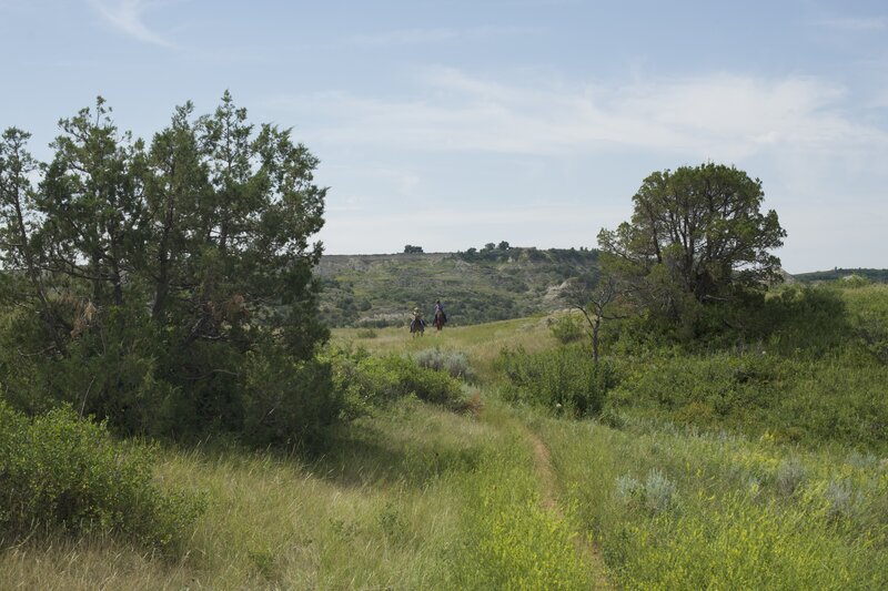 The trail is shared with horses, who enjoy traveling through the canyon.