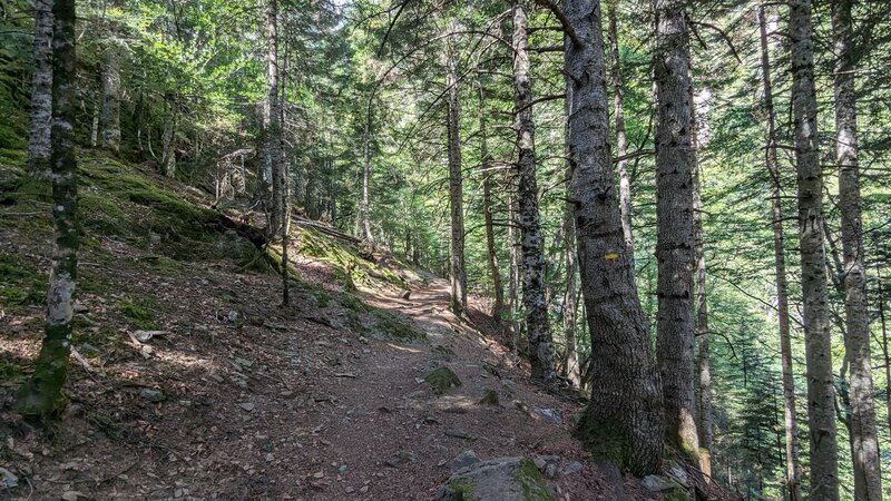 Baricave Peak Trail