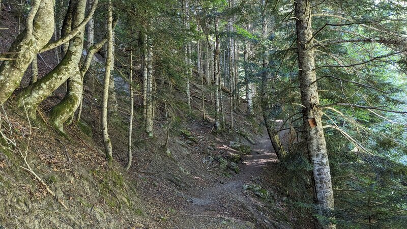 Baricave Peak Trail