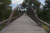 There is wrought iron bridge that crosses the North Platte river at the trailhead that you can walk out on to enjoy views of the river.