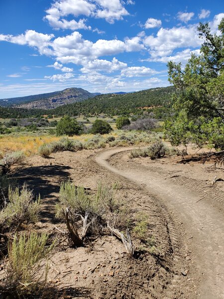 Nice views to the southwest from the Meadow Loop.