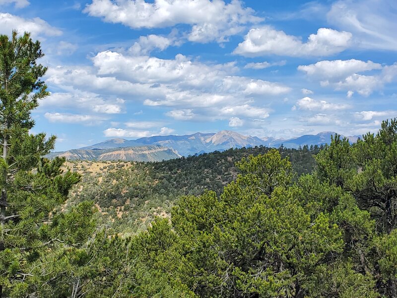 View to the north of the La Plata Mountains in the distance.