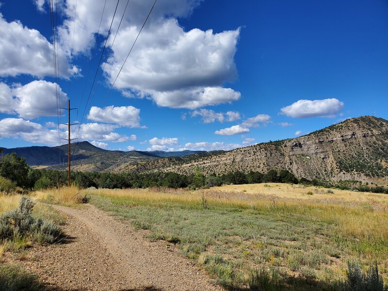 Pretty meadow on the SW end of the Powerline Trail.