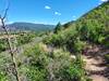 Looking to the north from the Ridgeview Trail.