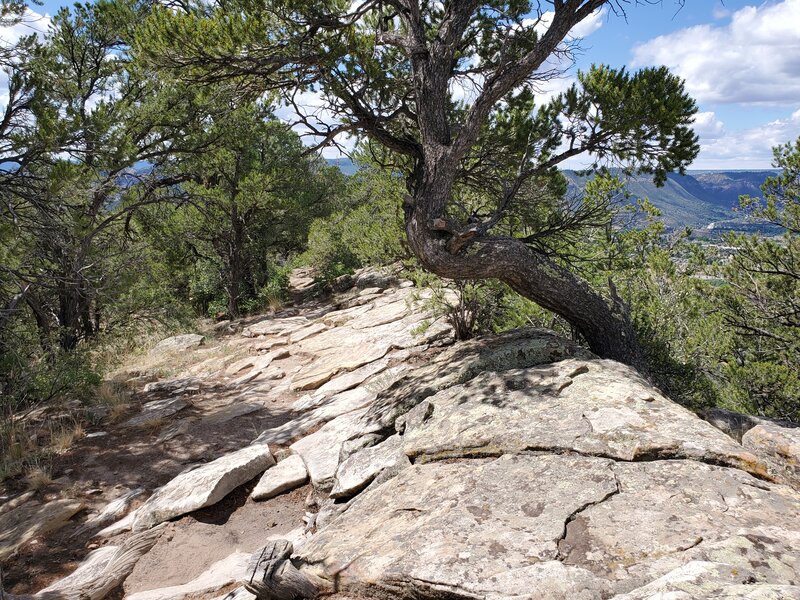 Looking south down the ridge at typical slabs of sandstone that comprise the trail.